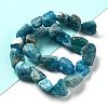 Raw Rough Natural Apatite Beads Strands G-P528-B04-02-2