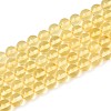 Natural Amber Beads Strands G-N351-05A-01-1