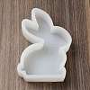 Rabbit Display Decoration DIY Silhouette Silicone Molds SIMO-H142-02A-2