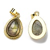 Natural Labradorite Pendants G-M405-05G-1