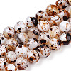 Drawbench Style Dyed Natural Freshwater Shell Beads Strands SHEL-T019-01A-1