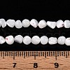 Natural Trochid Shell/Trochus Shell Beads Strands SSHEL-N040-07-4
