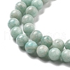 Natural Amazonite Beads Strands G-L618-A01-6mm-4
