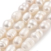 Natural Cultured Freshwater Pearl Beads Strands PEAR-P062-06B-1-2