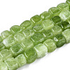 Natural Dolomite Beads Strands G-T131-56C-1