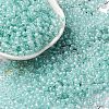 (Defective Closeout Sale: Fading) Glass Seed Beads SEED-XCP0001-30-1