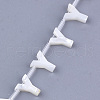 Natural Sea Shell Beads SHEL-T012-60Y-2