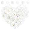 Gorgecraft 100Pcs 2 Style Natural Freshwater Shell Cabochons SHEL-GF0001-01-1