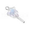 5Pcs Acrylic & Glass Pendants PALLOY-JF03526-02-3