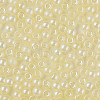 6/0 Imitation Jade Glass Seed Beads SEED-N004-006-12-4