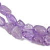 Natural Amethyst Beads Strands G-Q060-E16-4
