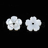 Natural Freshwater Shell Beads SHEL-N026-185-3