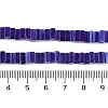 Handmade Lampwork Beads Strands LAMP-Q037-02B-07-4