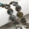Natural Labradorite Beads Strands G-C116-A164-03-1