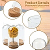15Pcs 3 Styles Glass Dome Cloche Cover AJEW-YW0001-31-3
