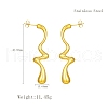 Simple Stainless Steel Geometric Teardrop Stud Earrings TL1493-6