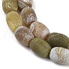 Natural Weathered Agate Beads Strands G-NH0047-B06-02-4