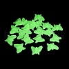 Luminous Opaque Acrylic Beads OACR-Z027-07-3