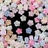 Transparent Crackle Acrylic Beads OACR-B031-21-2