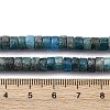 Natural Apatite Beads Strands G-Q046-A01-01-5