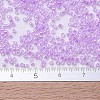 MIYUKI Delica Beads SEED-X0054-DB0248-4