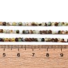 Natural Chrysoprase Beads Strands G-RM2025-C16-A-5