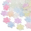 Transparent Crackle Acrylic Beads OACR-B031-05-1