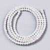 Natural Freshwater Shell Beads Strands X-BSHE-T009-01F-2