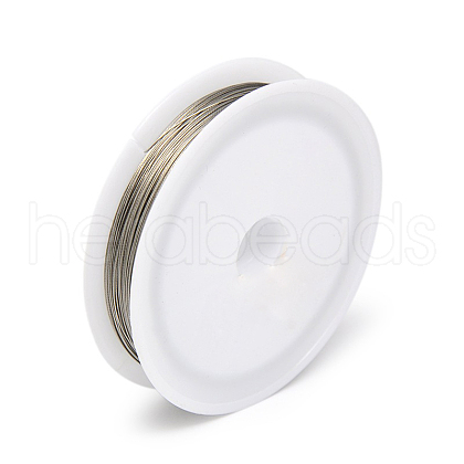 Tarnish Resistant DIY Jewelry Thread Findings Colored Tiger Tail Wire X-TWIR-O001-0.3mm-03-1