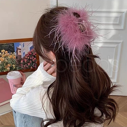 Resin Claw Hair Clips PW-WGC5436-02-1