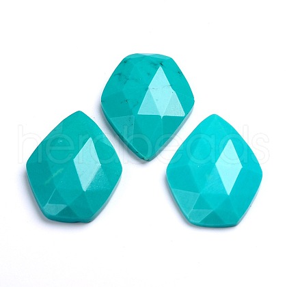 Dyed Faceted Natural Howlite Cabochons X-G-D763-02-1