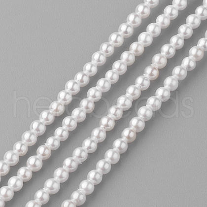 Shell Pearl Beads Strands PEAR-R064-94-1