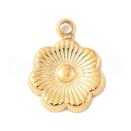 304 Stainless Steel Charms STAS-Q351-12G-1