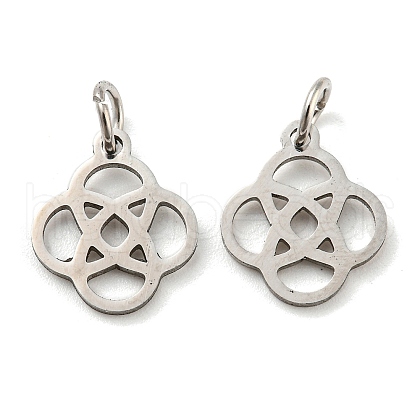 Non-Tarnish 304 Stainless Steel Charms STAS-H184-16P-1