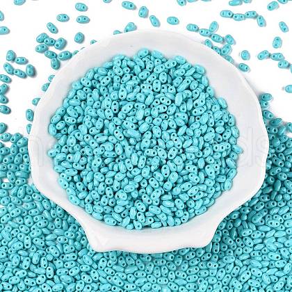 Baking Paint Glass Seed Beads SEED-T006-03H-1