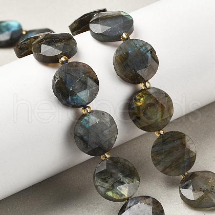 Natural Labradorite Beads Strands G-C116-A164-03-1
