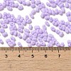 Glass Frosted Seed Beads SEED-K009-05B-04-4
