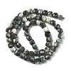 Natural Tree Agate Beads Strands G-H078-C48-6mm-4