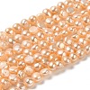 Natural Cultured Freshwater Pearl Beads Strands PEAR-E017-41-1