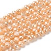 Natural Cultured Freshwater Pearl Beads Strands PEAR-E017-41-1