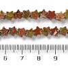 Natural Unakite Beads Strands G-G085-B53-02-5