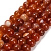 Dyed Natural Agate Beads Strands G-G203-10L-12mm-2