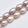 Natural Cultured Freshwater Pearl Beads Strands PEAR-F007-76-01-1