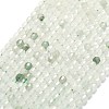 Natural Quartz Beads Strands G-A260-A43-01-2
