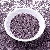 MIYUKI Delica Beads X-SEED-J020-DB1066-2