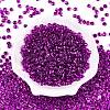 6/0 Baking Paint Transparent Glass Seed Beads X1-SEED-N006-06H-2