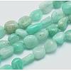 Natural Amazonite Beads Strands G-E483-50-1