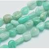 Natural Amazonite Beads Strands G-E483-50-1