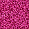 Baking Paint Glass Seed Beads SEED-US0003-2mm-K24-2