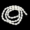 Natural Trochus Shell Beads Strands BSHE-E030-02C-3